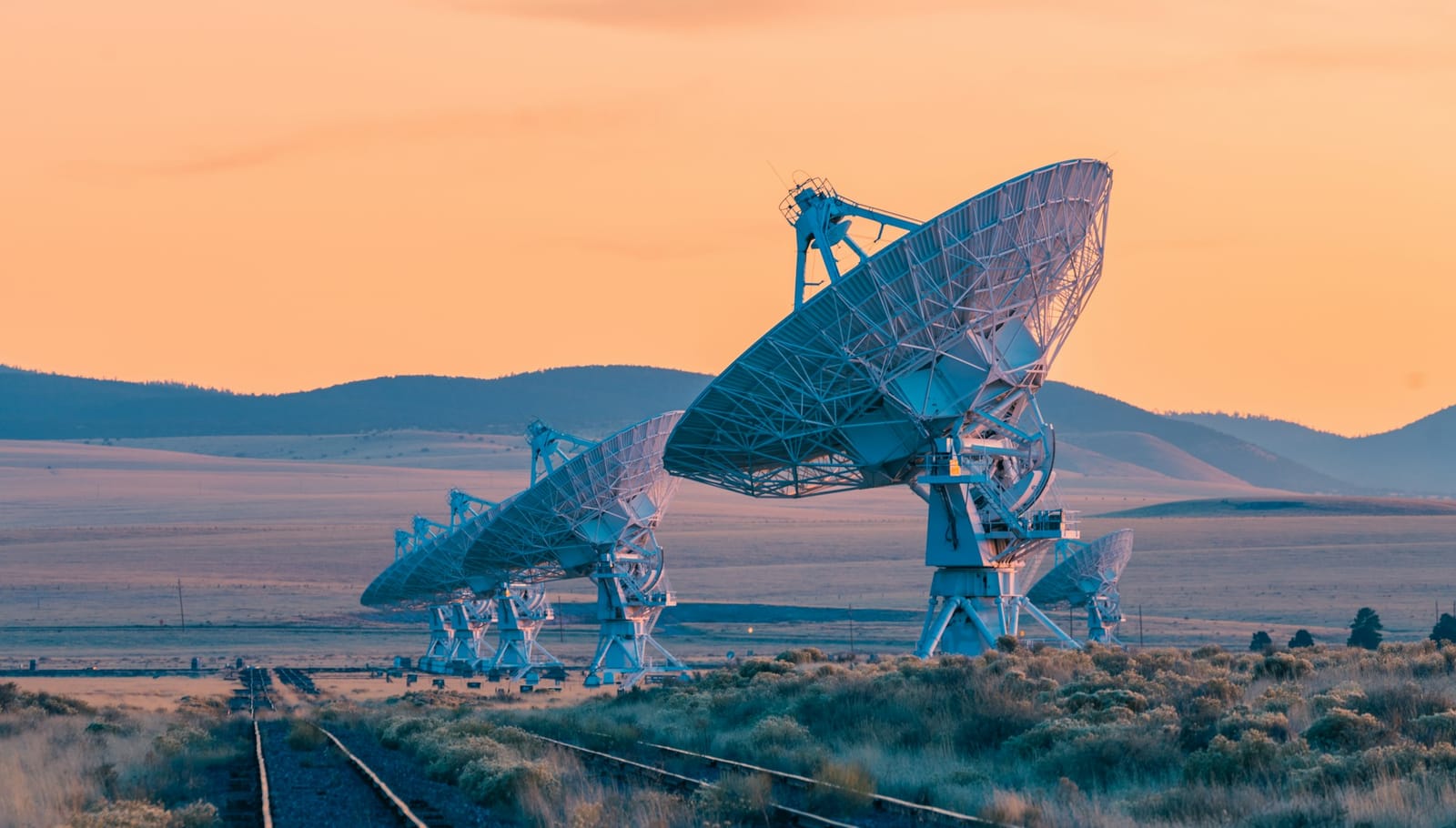 A receding line of large dish antennas at dusk, all turned the same way.
